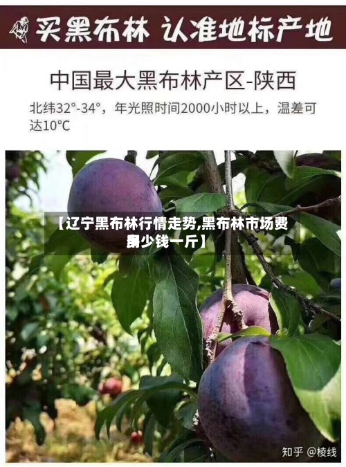【辽宁黑布林行情走势,黑布林市场费用多少钱一斤】