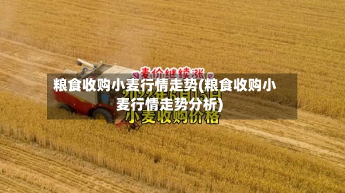 粮食收购小麦行情走势(粮食收购小麦行情走势分析)