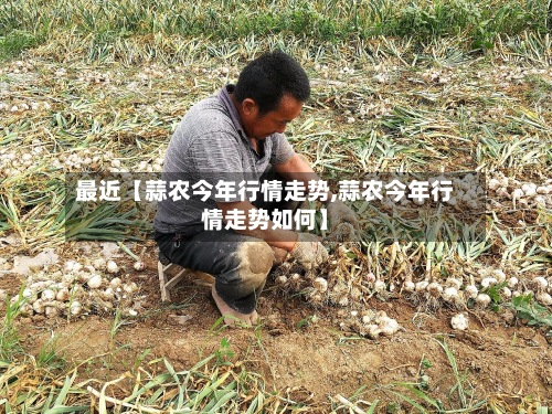 最近【蒜农今年行情走势,蒜农今年行情走势如何】