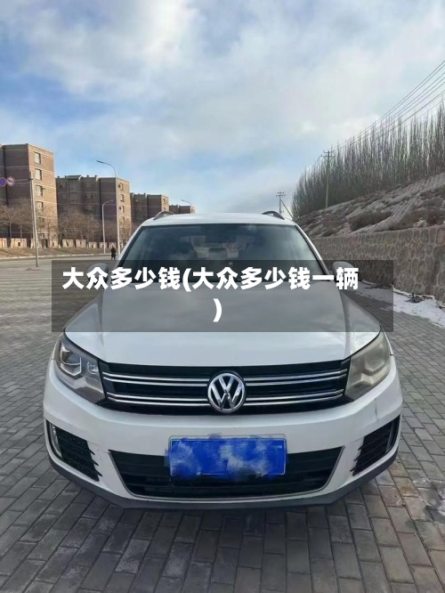 大众多少钱(大众多少钱一辆)