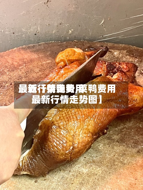 最近【菜鸭费用最新行情走势,菜鸭费用最新行情走势图】