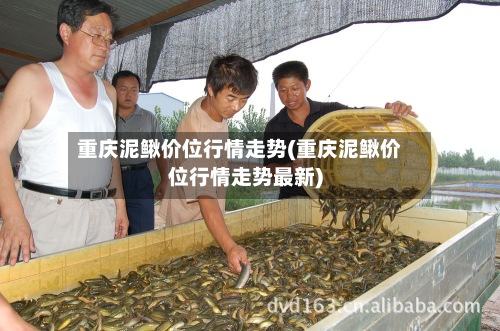 重庆泥鳅价位行情走势(重庆泥鳅价位行情走势最新)
