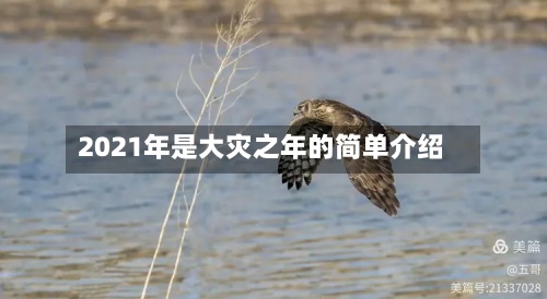 2021年是大灾之年的简单介绍-第2张图片