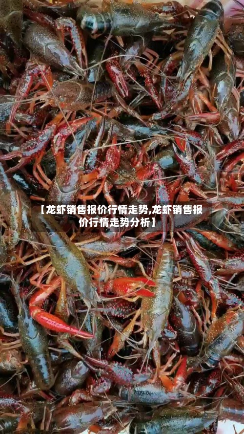 【龙虾销售报价行情走势,龙虾销售报价行情走势分析】-第2张图片
