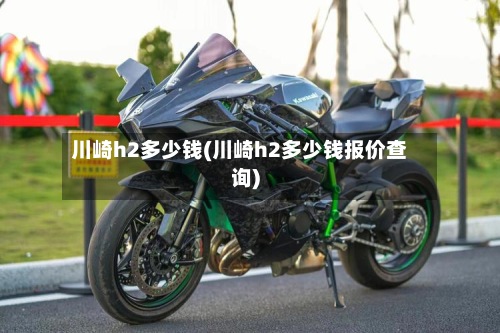 川崎h2多少钱(川崎h2多少钱报价查询)-第2张图片