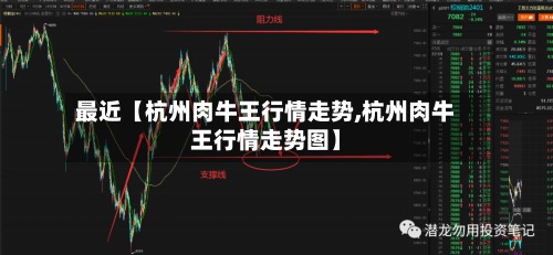 最近【杭州肉牛王行情走势,杭州肉牛王行情走势图】-第3张图片