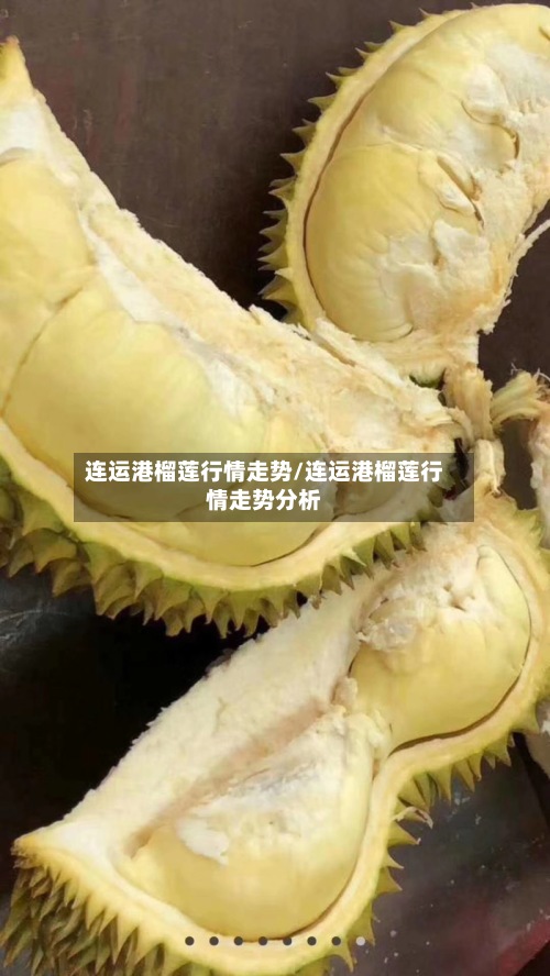 连运港榴莲行情走势/连运港榴莲行情走势分析-第3张图片