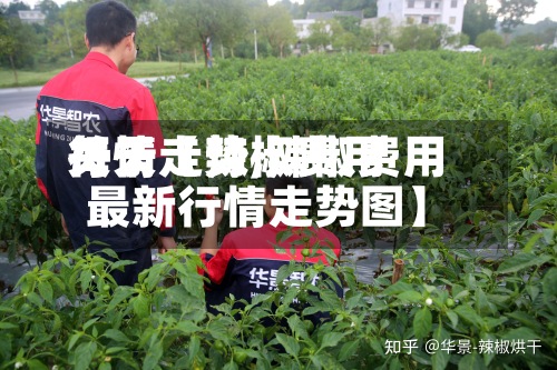 关于【辣椒费用每天行情走势,辣椒费用最新行情走势图】-第3张图片