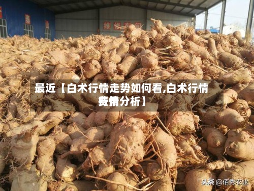 最近【白术行情走势如何看,白术行情费用行情分析】