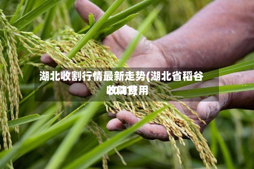 湖北收割行情最新走势(湖北省稻谷收购费用2021)-第3张图片