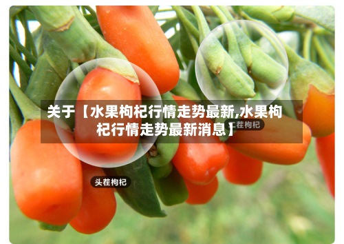 关于【水果枸杞行情走势最新,水果枸杞行情走势最新消息】