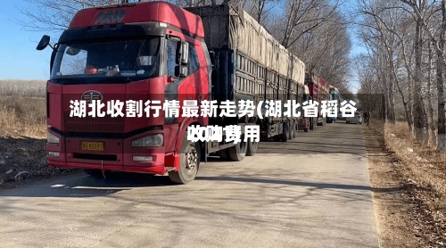 湖北收割行情最新走势(湖北省稻谷收购费用2021)