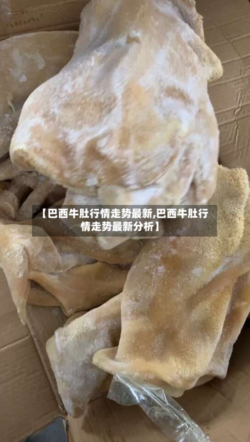 【巴西牛肚行情走势最新,巴西牛肚行情走势最新分析】