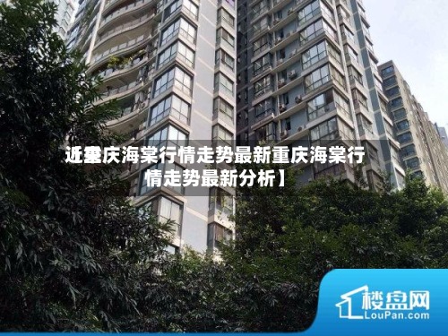 近来【重庆海棠行情走势最新重庆海棠行情走势最新分析】