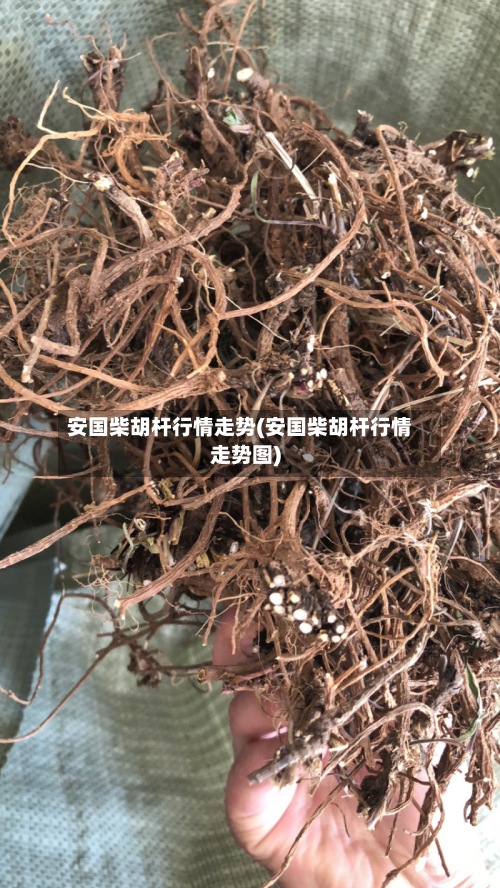 安国柴胡杆行情走势(安国柴胡杆行情走势图)