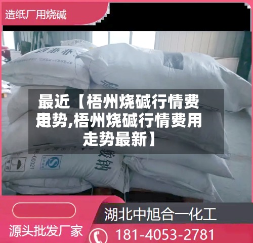 最近【梧州烧碱行情费用走势,梧州烧碱行情费用走势最新】-第2张图片