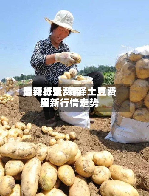 菏泽土豆费用
最新行情/菏泽土豆费用
最新行情走势-第2张图片
