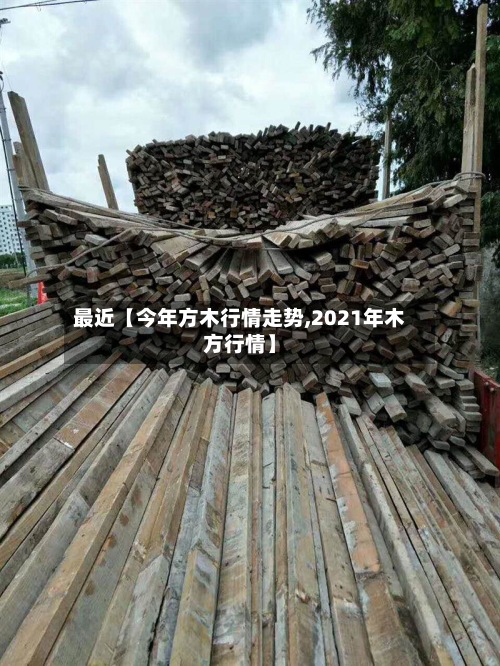 最近【今年方木行情走势,2021年木方行情】