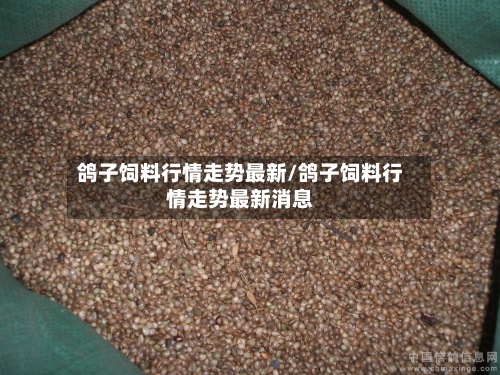 鸽子饲料行情走势最新/鸽子饲料行情走势最新消息-第2张图片