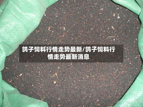 鸽子饲料行情走势最新/鸽子饲料行情走势最新消息-第3张图片
