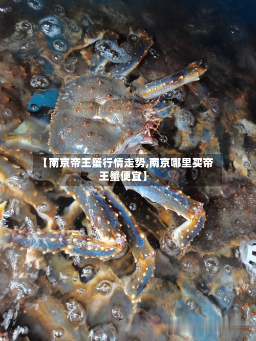 【南京帝王蟹行情走势,南京哪里买帝王蟹便宜】