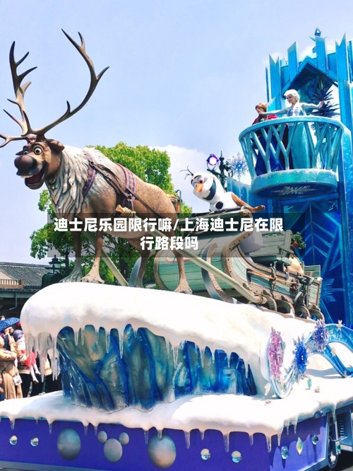 迪士尼乐园限行嘛/上海迪士尼在限行路段吗-第2张图片