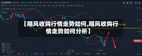 【飓风收购行情走势如何,飓风收购行情走势如何分析】
