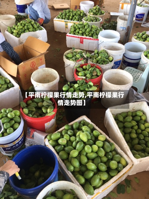 【平南柠檬果行情走势,平南柠檬果行情走势图】-第2张图片
