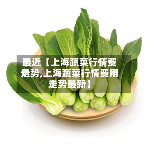 最近【上海蔬菜行情费用走势,上海蔬菜行情费用走势最新】