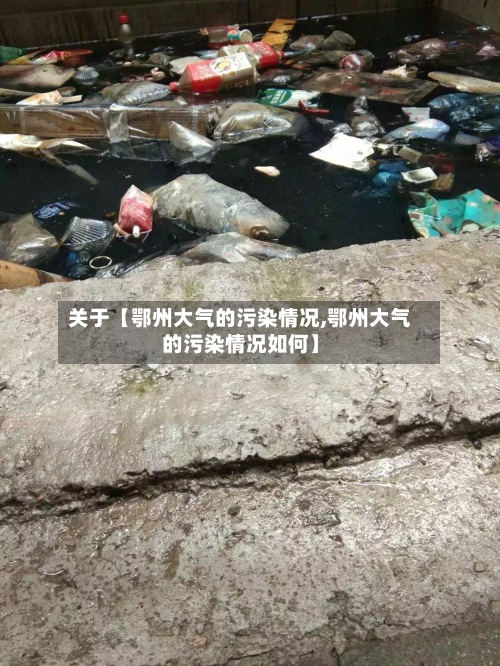 关于【鄂州大气的污染情况,鄂州大气的污染情况如何】
