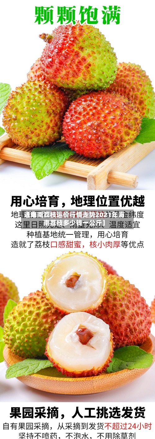 近来
【海南荔枝运价行情走势2021年海南荔枝多少钱一公斤】-第2张图片
