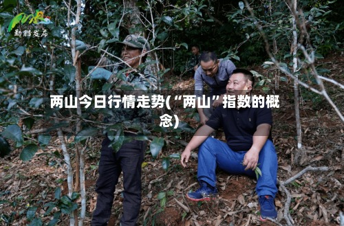 两山今日行情走势(“两山”指数的概念)-第2张图片