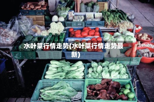 水叶菜行情走势(水叶菜行情走势最新)