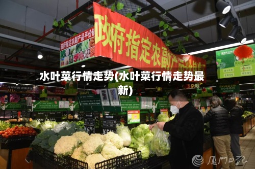 水叶菜行情走势(水叶菜行情走势最新)-第2张图片