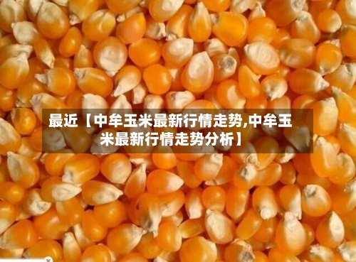 最近【中牟玉米最新行情走势,中牟玉米最新行情走势分析】