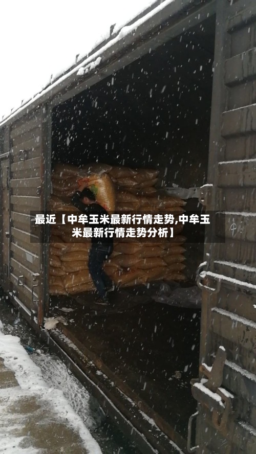最近【中牟玉米最新行情走势,中牟玉米最新行情走势分析】-第2张图片