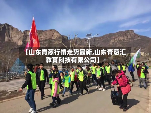 【山东青葱行情走势最新,山东青葱汇教育科技有限公司】