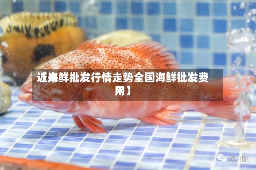 近来
【海鲜批发行情走势全国海鲜批发费用
网】-第2张图片