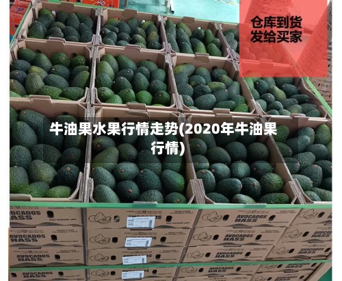 牛油果水果行情走势(2020年牛油果行情)-第3张图片