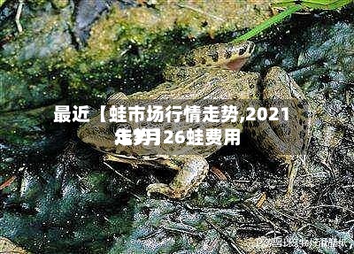 最近【蛙市场行情走势,2021年7月26蛙费用走势】-第2张图片