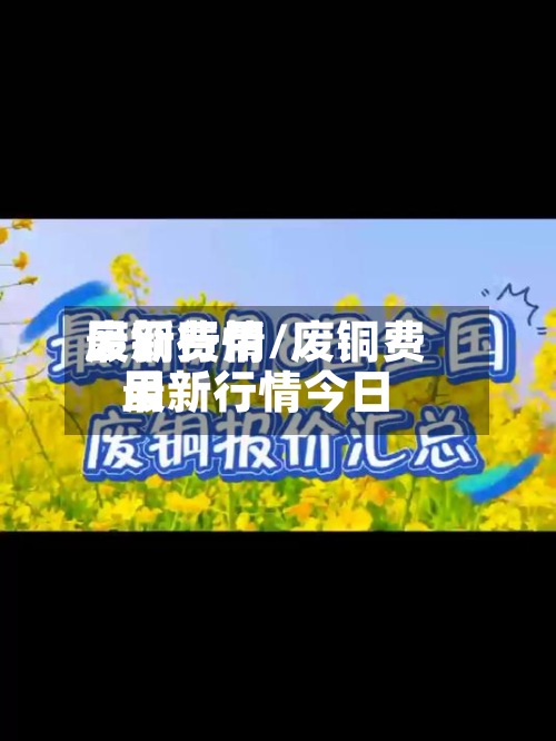 废铜费用最新行情/废铜费用最新行情今日-第2张图片