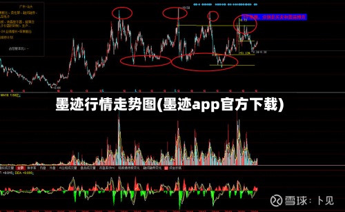 墨迹行情走势图(墨迹app官方下载)-第2张图片