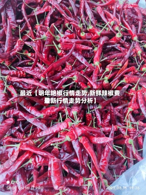 最近【明年艳椒行情走势,新鲜辣椒费用最新行情走势分析】-第2张图片