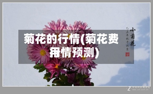 菊花的行情(菊花费用
行情预测)-第3张图片