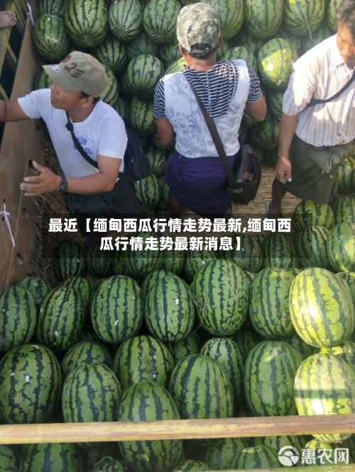 最近【缅甸西瓜行情走势最新,缅甸西瓜行情走势最新消息】