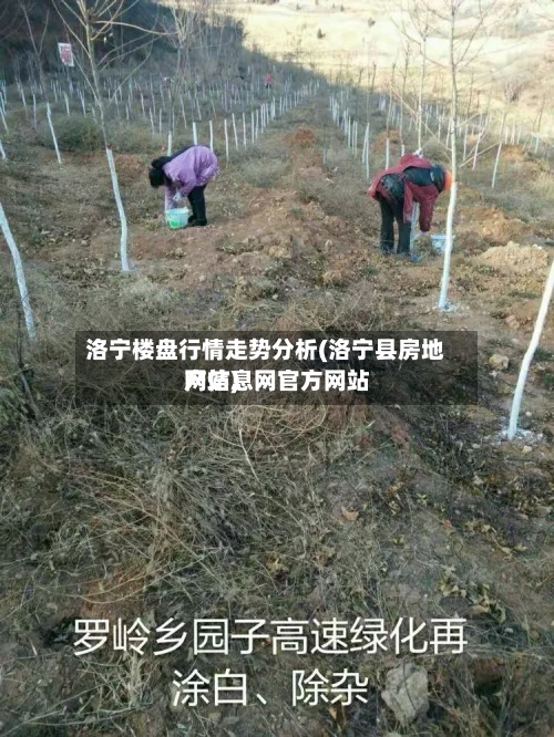 洛宁楼盘行情走势分析(洛宁县房地产信息网官方网站网站)