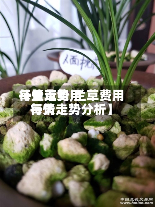 【兰草费用
每天
行情走势,兰草费用
每天
行情走势分析】-第3张图片