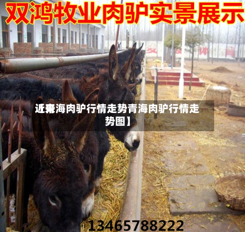 近来
【青海肉驴行情走势青海肉驴行情走势图】