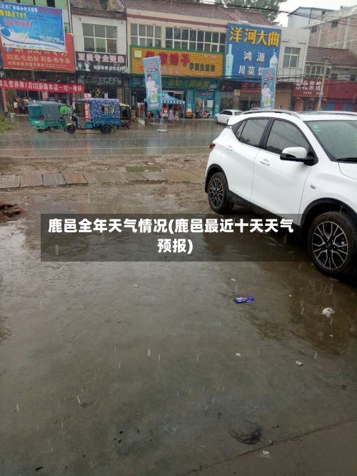 鹿邑全年天气情况(鹿邑最近十天天气预报)