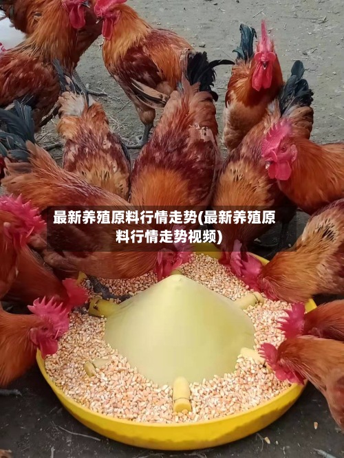最新养殖原料行情走势(最新养殖原料行情走势视频)